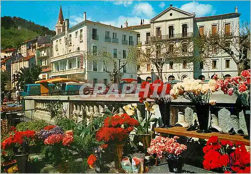 Cartes postales moderne Amelie les Bains (P O) Le Mondon