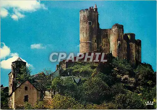 Cartes postales moderne Najac Aveyron Touristique Leochateau Chef d'Oeuvre de l'art Militaire au XIIIe Siecle