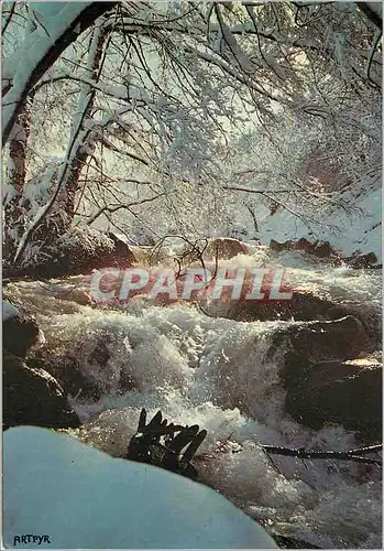 Cartes postales moderne Les Pyrenees sous la Neige Aurore sur le Torrent