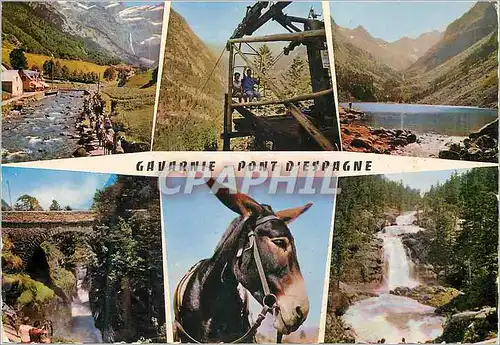 Cartes postales moderne Gavarnie (Alt 1357 m) Les Pyrenees Telesiege du Pont d'Esapgne Le Lac Gaube Ane Donkey