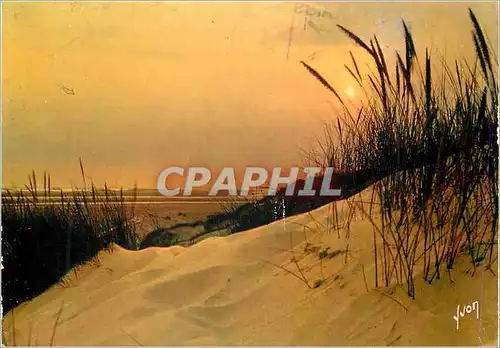 Cartes postales moderne Couleurs et Lumiere de France coucher de Soleil dans les Dunes