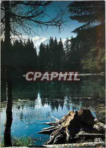 Cartes postales moderne Le Lac Vert