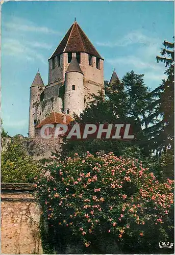 Cartes postales moderne Provins (Seine et Marne) La Tour de Cesar (angle Sud est) Puissant donjon du XIIe Siecle