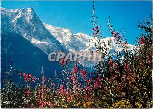 Cartes postales moderne Chamonix Mont Blanc (Hte Savoie) Alt 103 m L'Aiguille du Midi le Massif du Mont Blanc