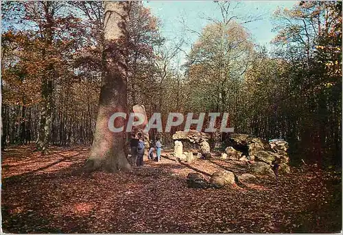 Cartes postales moderne Le Bois de Chaville Les Dolmens Images de France
