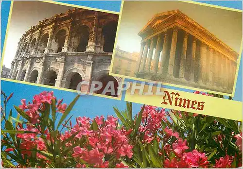 Cartes postales moderne Nimes les Arenes La Maison Carree