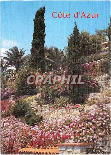 Moderne Karte Jardins Fleuris de la cote d'Azur Lumiere et Beaute de la Cote d'Azur