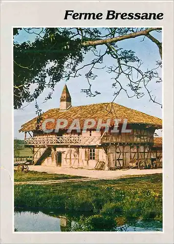 Cartes postales moderne Ferme Bressane