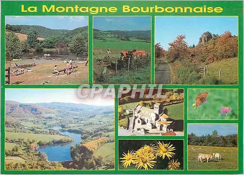 Moderne Karte La Montagne Bourbonnaise Image d'Auvergne Vaches