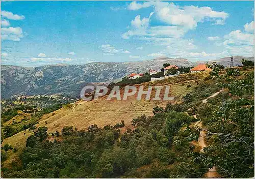 Cartes postales moderne Algerie Ain El Hamman Le Village de Tagounsa