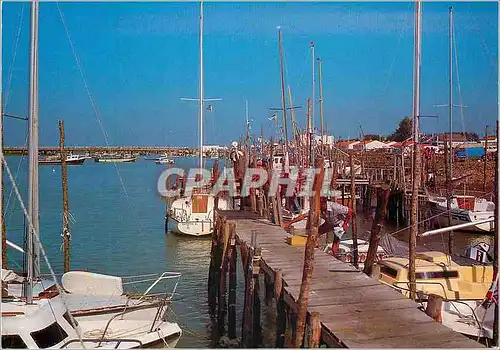 Moderne Karte L'Aiguillon La Faute sur Mer (Vendee) La Cote de Lumiere Bateaux