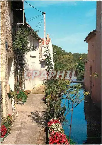 Cartes postales moderne Saint Germain de Marencennes (Ch Mme) La Geres un Joli Coin Fleuri