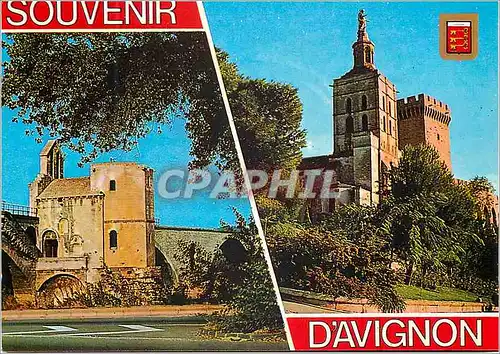 Cartes postales moderne Avignon Cite des Papes Vaucluse Pont St Benezet XIIe S et Chapelle St Nicolas Notre Dame des Dom