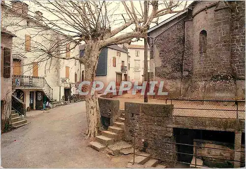 Cartes postales moderne Sauclieres (Aveyron) Le Quai