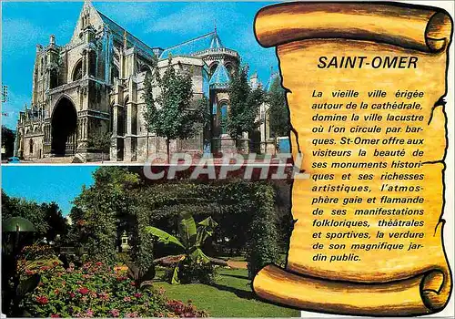 Cartes postales moderne Saint Omer (Pas de Calais) France La Cathedrale Le Jardin Public
