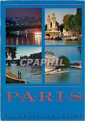 Moderne Karte Paris et coule la Seine Pont Alexandre III Pecheurs pres du Pont Neuf L'Ile Saint Louis au Nivea