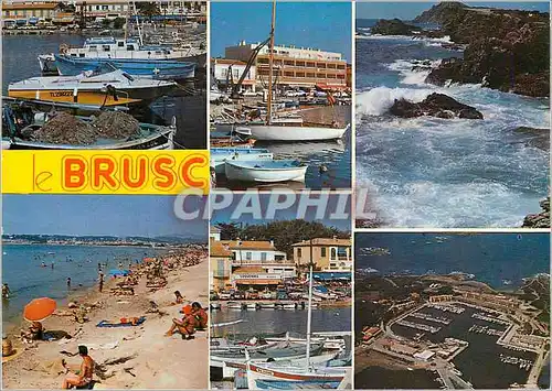 Cartes postales moderne Souvenir du Brusc Lumiere et Beaute de la Cote d'Azur