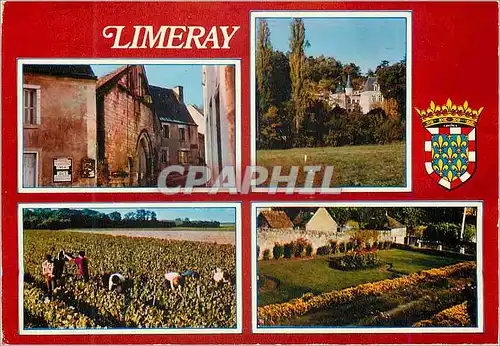 Cartes postales moderne Limeray (I et L) le Vieux Palais le Chateau les Vendanges le Jardin Public