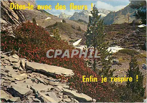 Cartes postales moderne Dites le avec des Fleurs Enfin je Respire Jons Winterthal