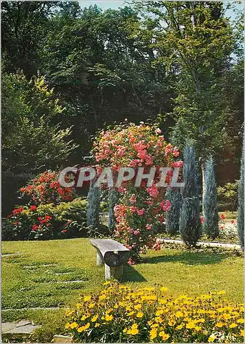 Cartes postales moderne Orleans (Loiret) Parc Florale de la Source un Coin du Parc