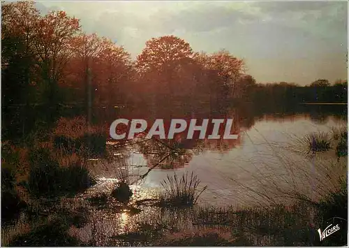 Cartes postales moderne Coucher de Soleil