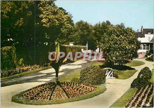 Moderne Karte Saumur (M et L) Jardin des Plantes