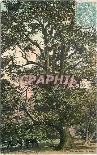 Cartes postales Foret de Fontainebleau