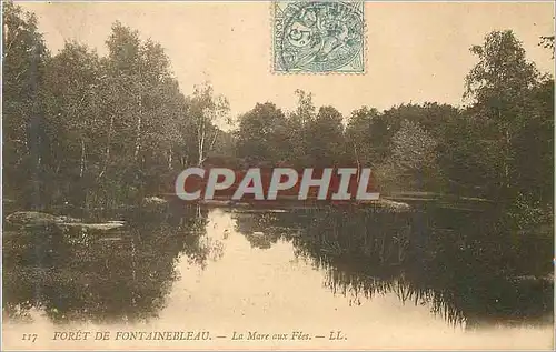 Cartes postales Foret de Fontainebleau la Mare aux Fees