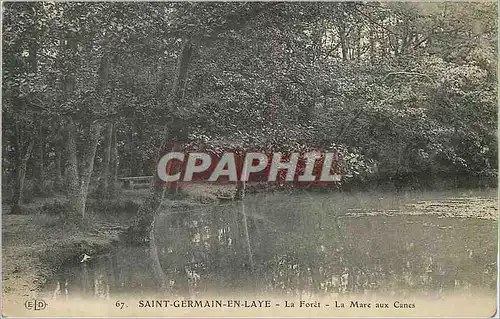 Ansichtskarte AK Saint Germain en Laye la Foret la Mare au Canes