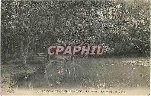 Cartes postales Saint Germain en Laye la Foret la Mare au Canes