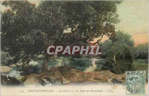 Ansichtskarte AK Fontainebleau la Mare de Franchard