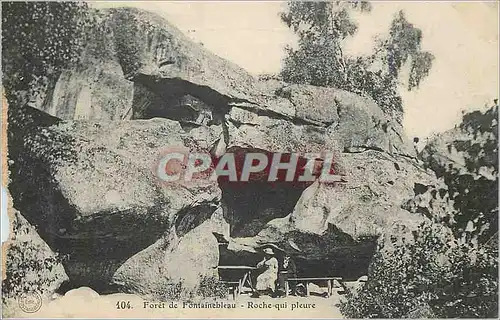 Cartes postales Foret de Fontainebleau Roche qui Pleure