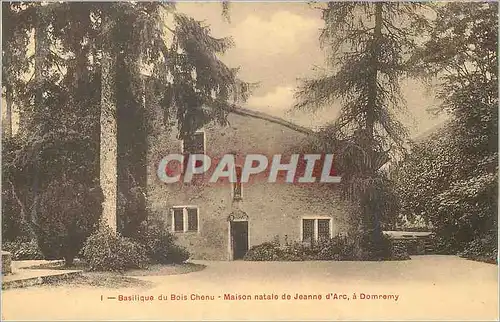 Cartes postales Domremy Basilique du Bois Chenu Maison Natale de Jeanne d'Arc