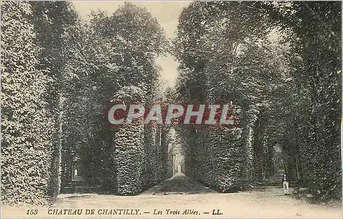 Ansichtskarte AK Chateau de Chantilly les Trois Allees