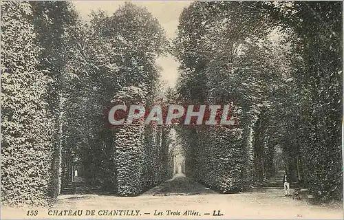 Cartes postales Chateau de Chantilly les Trois Allees