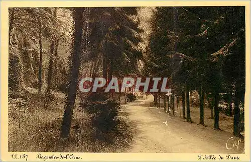 Ansichtskarte AK Bagnoles de l'Orne l'Allee du Daute