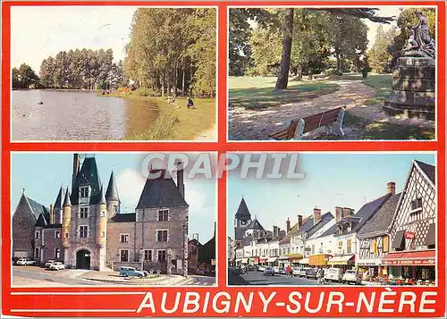 Cartes postales moderne Aubigny sur Nere (Cher) l'Etang du Parc des Sports les Grands Jardins l'Hotel de Ville Ancien Ch