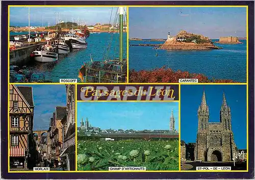 Cartes postales moderne Paysages du Leon (Finistere) la Bretagne Couleurs et Lumiere de France le Port de Roscoff l'Ile