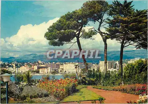 Cartes postales moderne Cannes (A M) la Cote d'Azur les Grands Palaces de la Croisette vus du Marly