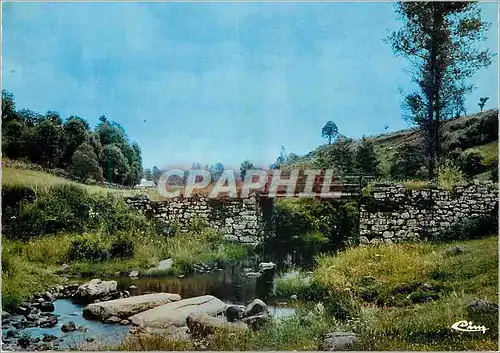 Cartes postales moderne Notre Auvergne le Ruisseau ou il fait bon Pecher la Truite