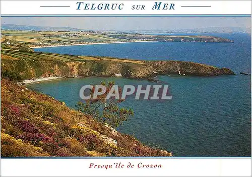 Cartes postales moderne Telgruc sur Mer Presqu'Ile de Crozon en Bretagne la Plage de Trez Bellec