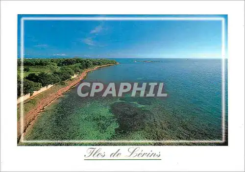 Cartes postales moderne Ile de Lerins French Riviera