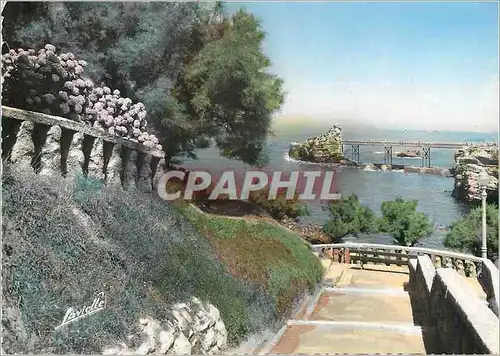 Cartes postales moderne Biarritz le Rocher de la Vierge vu des Terrasses du Port Vieux
