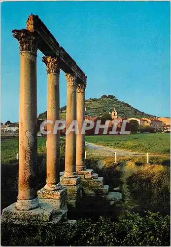 Cartes postales moderne Riez les Colonnes Antiques (1er s) Notre Belle Provence