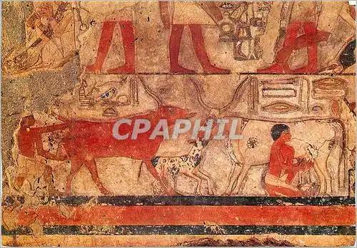 Cartes postales moderne Paris Musee du Louvre Departement des Antiquites Egyptiennes Scenes d'Elevage (Traite et Delivra