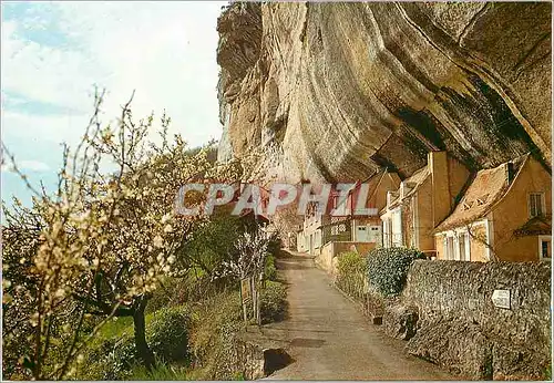 Cartes postales moderne Les Eyzies (Dordogne) Laugerie Basse Maisons Troglodytes sur le Chemin de la Grotte du Grand Roc