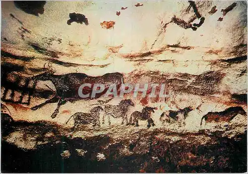 Moderne Karte Grotte de Lascaux le Perigord Touristique Art Prehistorique Paroi Droite du Diverticule Axial