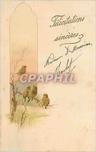 Cartes postales Felicitations Sinceres Oiseaux