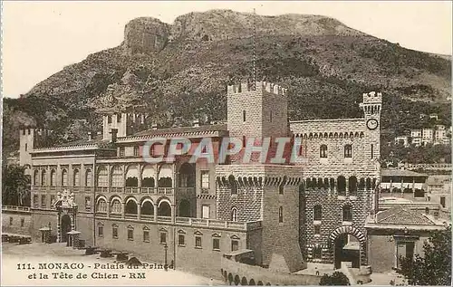 Cartes postales Monaco Palais du Prince et la Tete de Chien