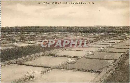 Cartes postales Le Pouliguen (L Inf) Marais Salants